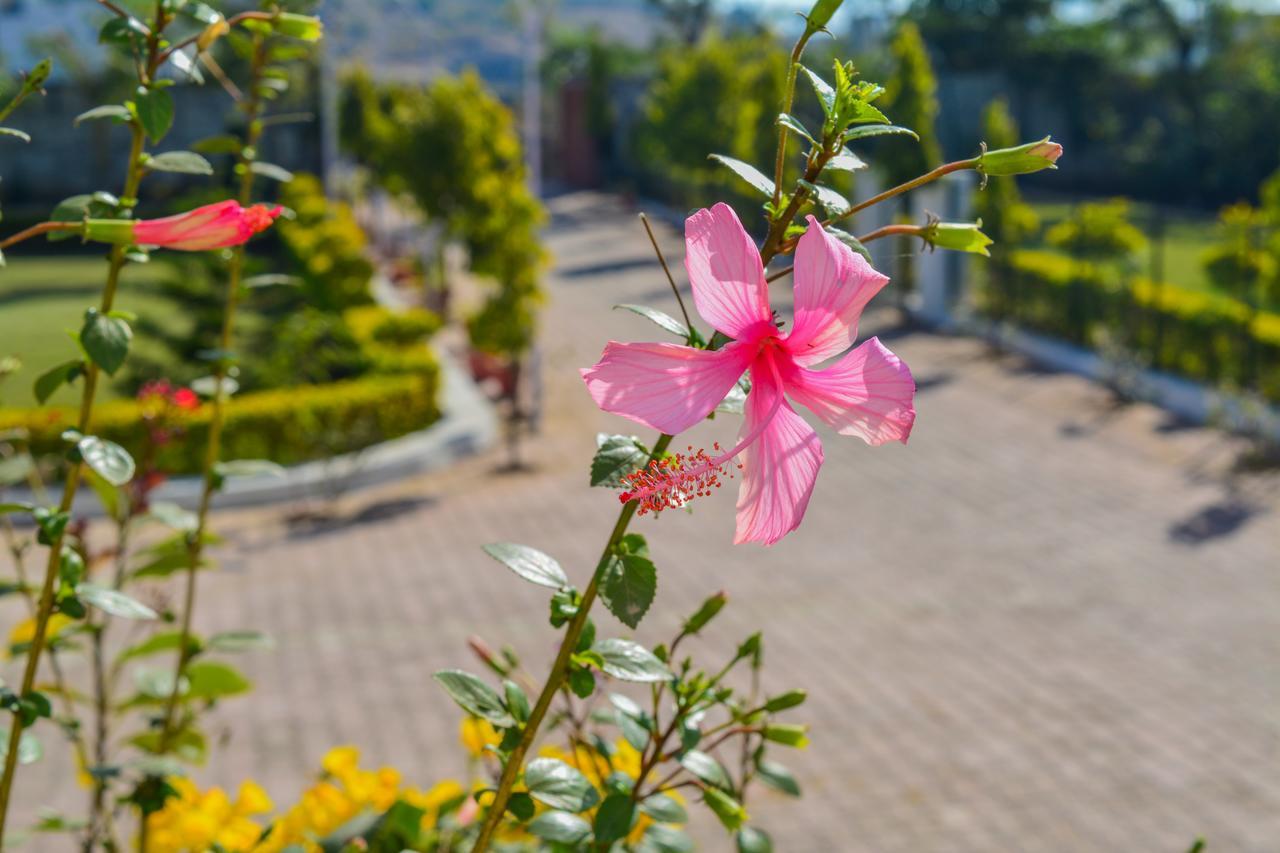 Tiger Hill Homestay Udaipur Eksteriør bilde